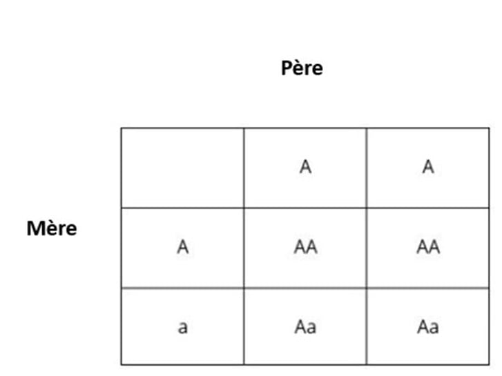 Un carré blanc avec des lettres noires.