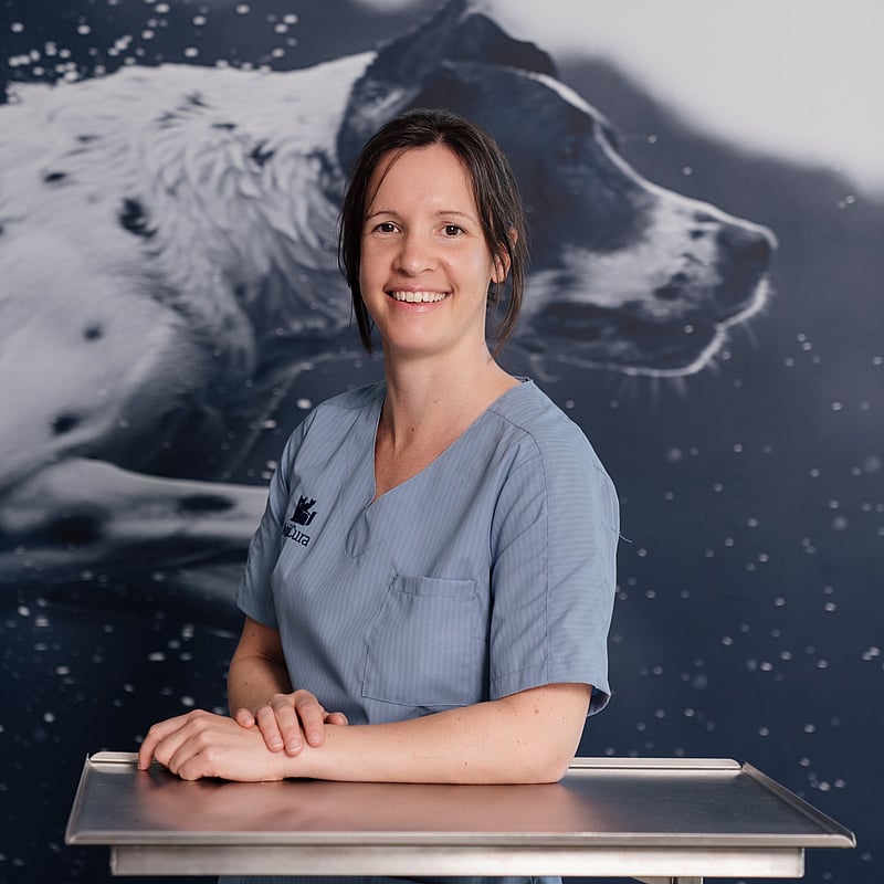 Photo de Inne, Assistante Vétérinaire