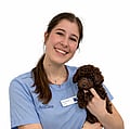 Foto van Tine Haesebrouck, Dierenarts