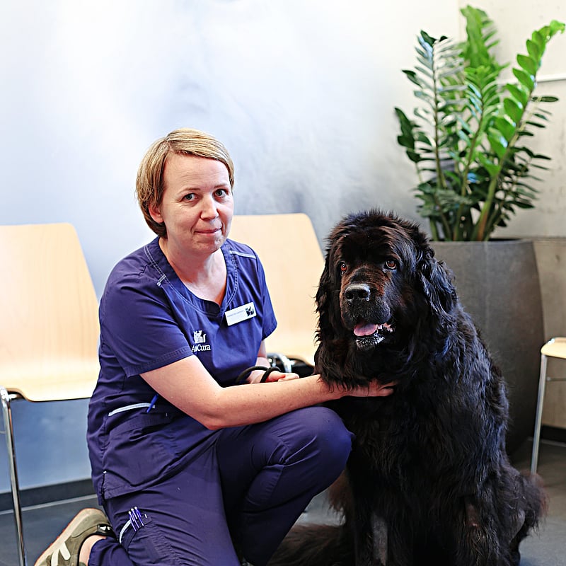 Photo de Annelies Van Laerhoven, Vétérinaire