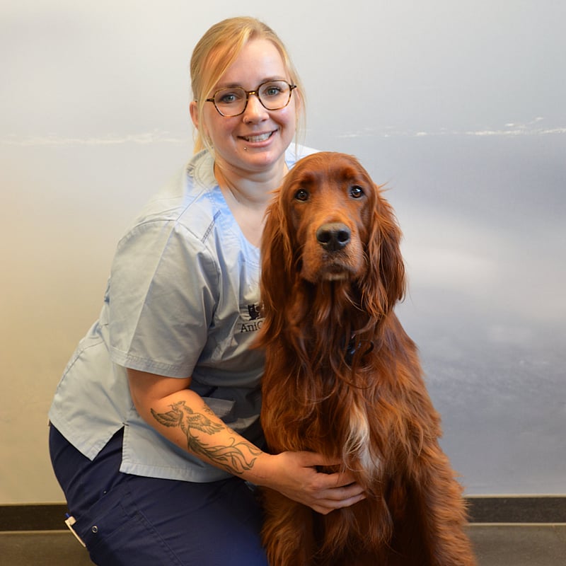 Foto van Jolien Van Audenhove, Dierenartsassistente