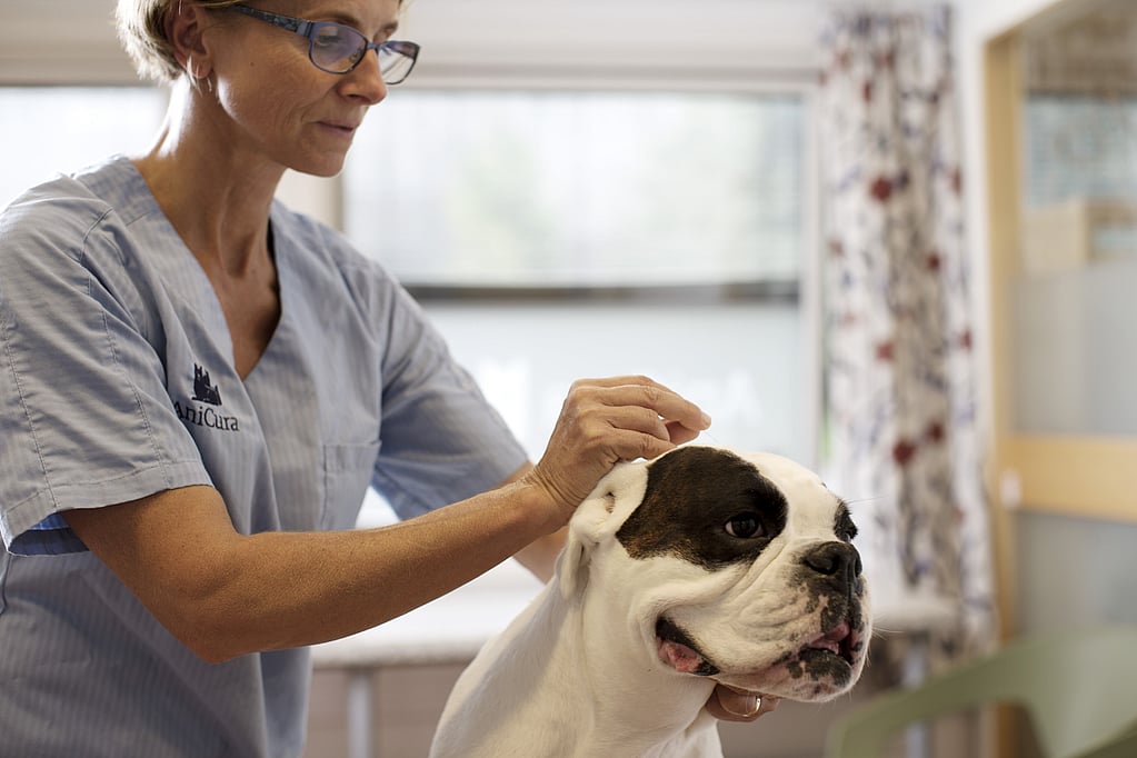 Een persoon met een bril en een hond.