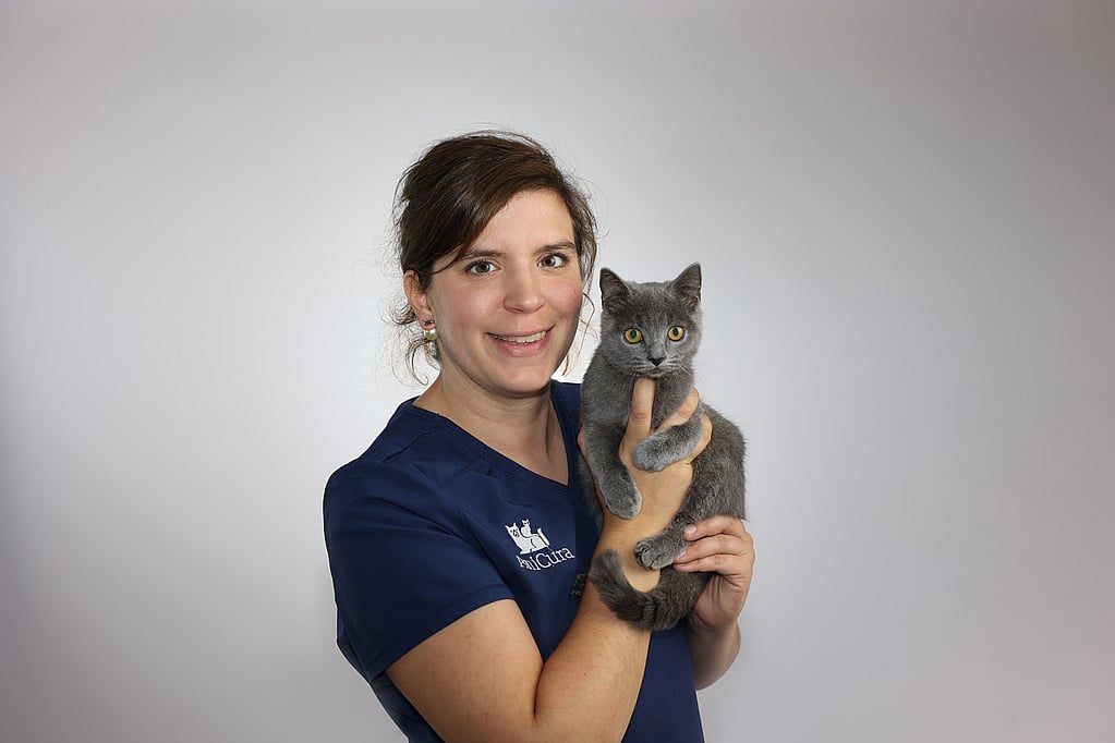Une personne tenant un chat.