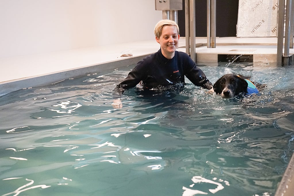Een persoon en een hond in een zwembad.