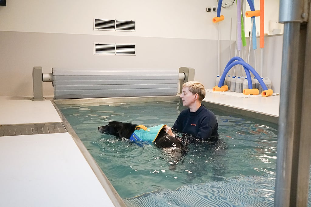 Une personne dans une piscine avec un chien.