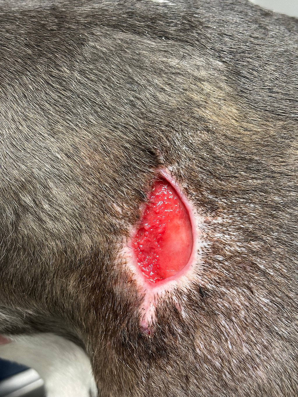 Een close-up van een wond.
