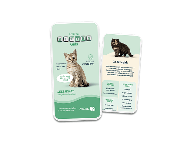 Une paire de cartes avec des images d’un chat.