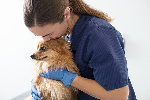 Une personne en blouse bleue embrassant un chien.
