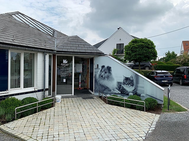 Un bâtiment avec une peinture de chats sur le côté.