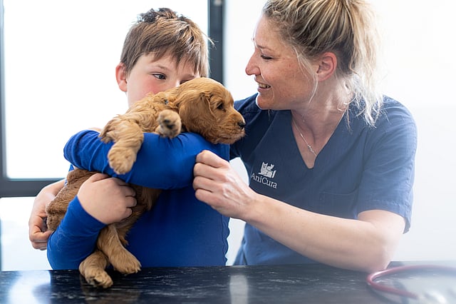 jongen-houdt-puppy-vast