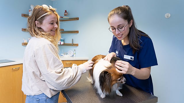 anicura-clinique-veterinaire-adk