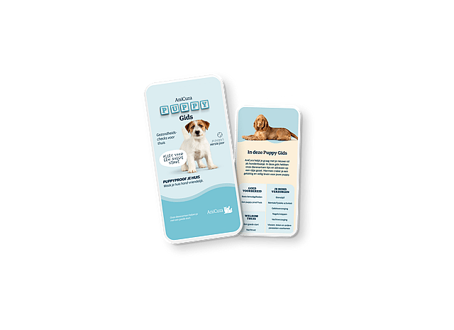 Een paar kaarten met een afbeelding van een hond.