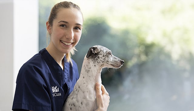 Een persoon die een hond vasthoudt.
