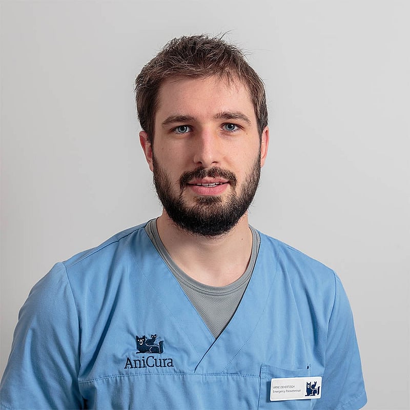 Photo de Arne Dehertogh, Assistant Vétérinaire