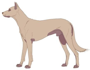 Un chien debout, la gueule ouverte.