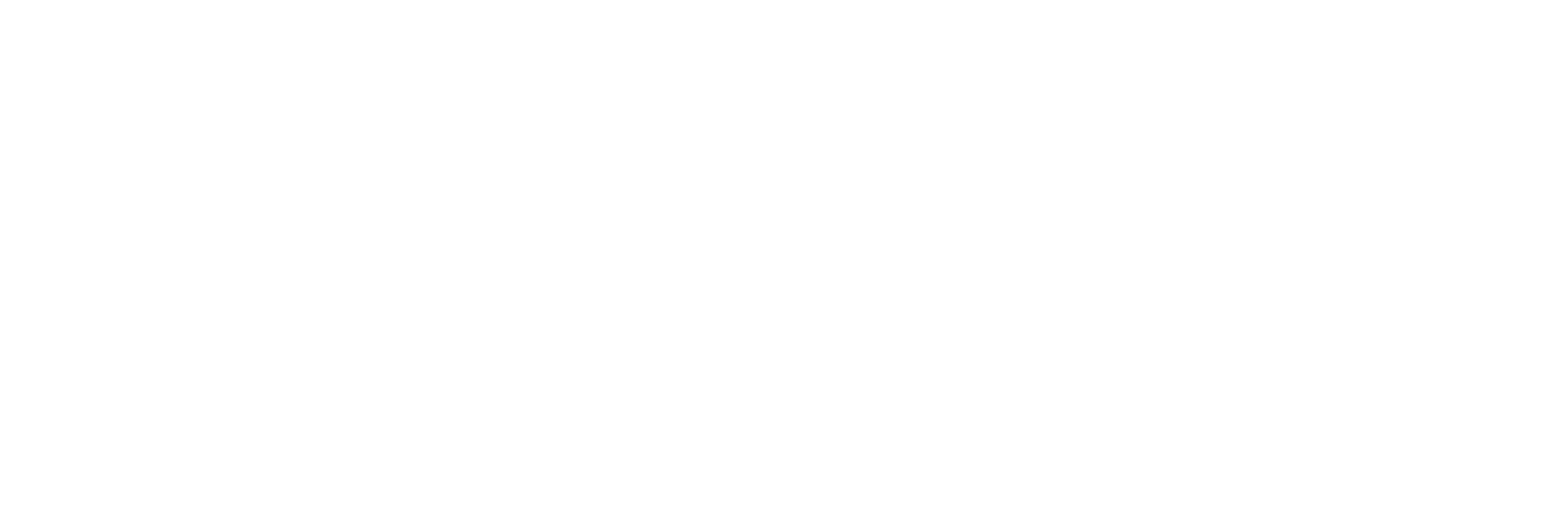 AniCura Dierenkliniek Randstad te Borsbeek logo