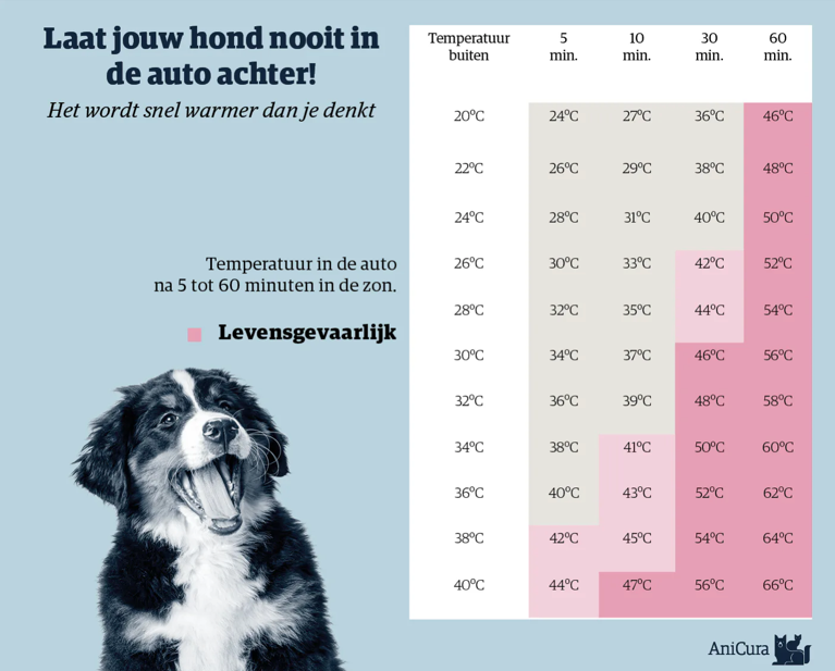 Afbeelding met tekst, Hondenras, huisdier, hond

Door AI gegenereerde inhoud is mogelijk onjuist., Afbeelding